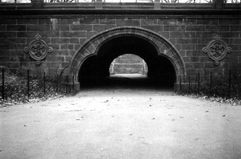 Bridge